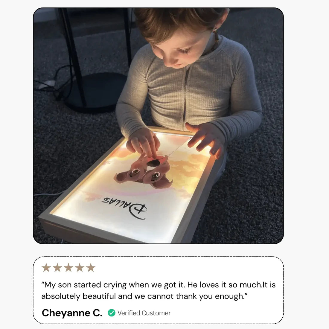 Custom Light Portrait